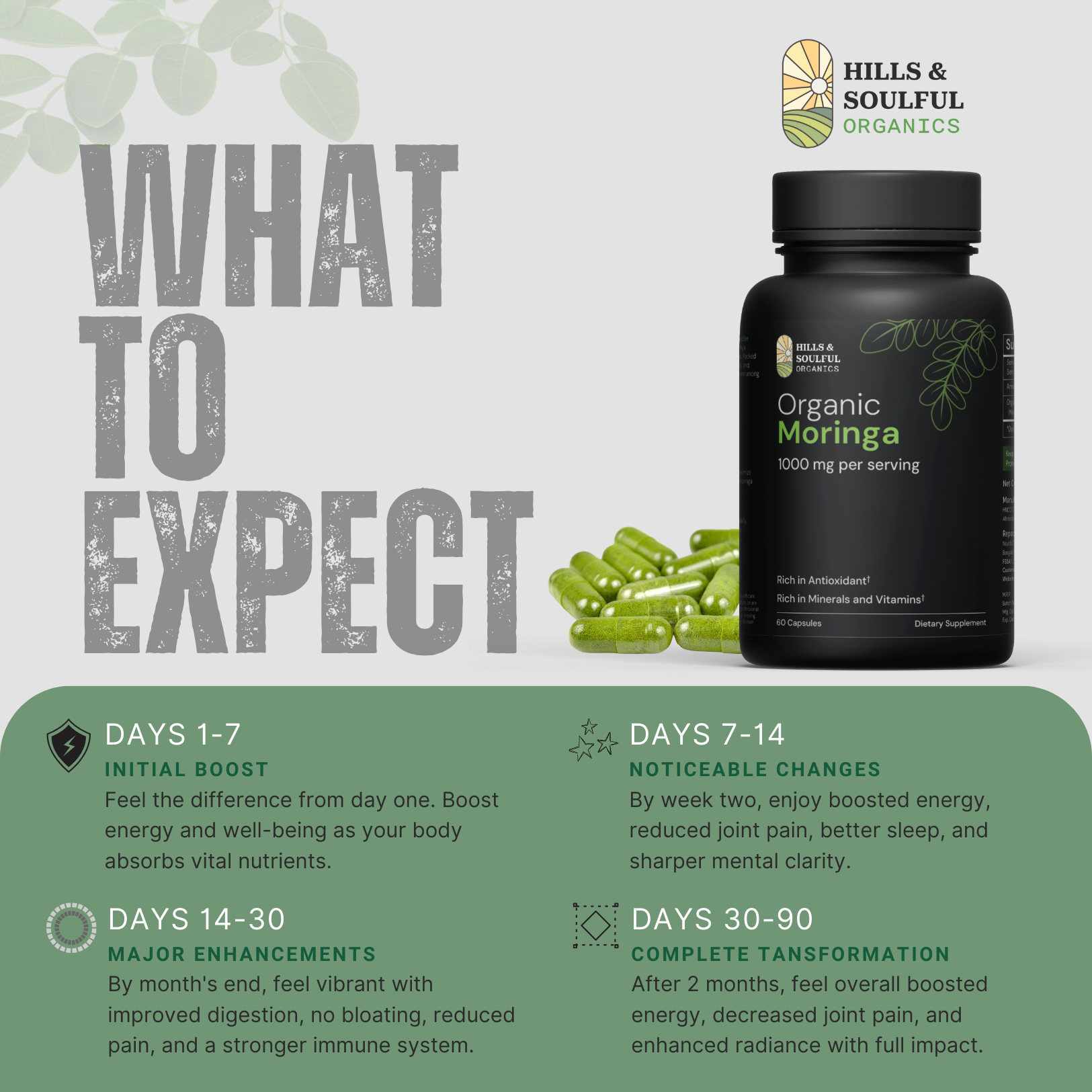 Organic Moringa Powder Capsules